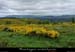 20100530_montselgues_testerouge