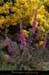 20160609_htedrobie_pentescayres1