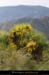 20160609_monyselgues_cornichecayres4