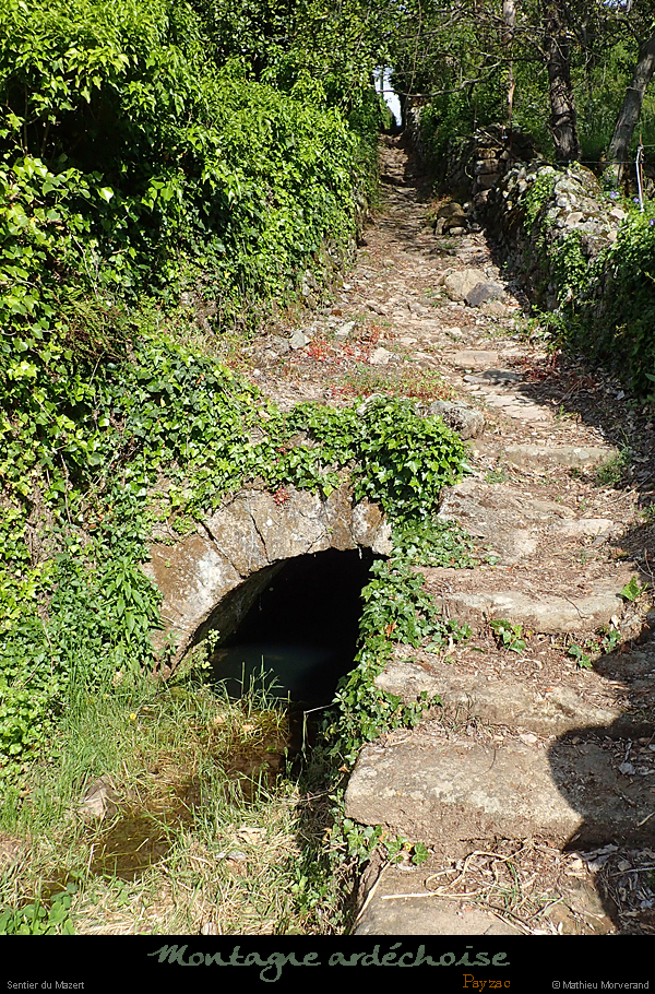20190512_033
