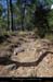 20150520_bres_chemindesviviers