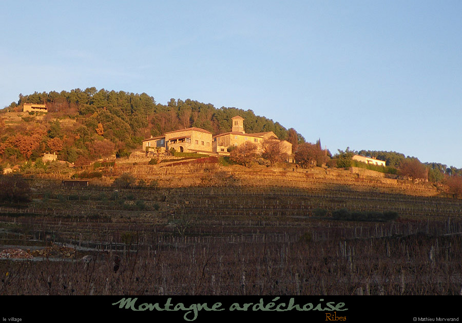 20101212_ribes1