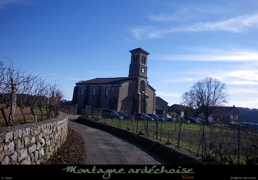 20101212_ribes2
