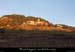 20101212_ribes1