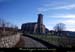 20101212_ribes2