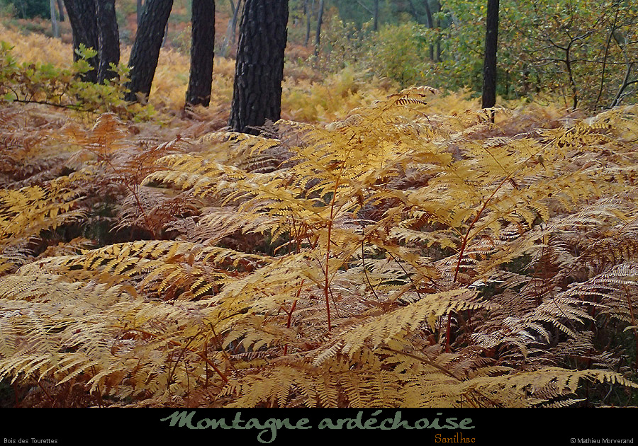 20151025_171