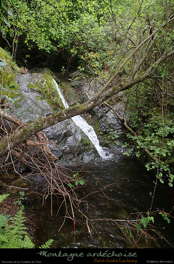 20150503_205