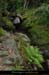 20160522_standrel_ravindechristiane
