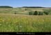 20170620_stclement_vallonrimandedebousquenoux2