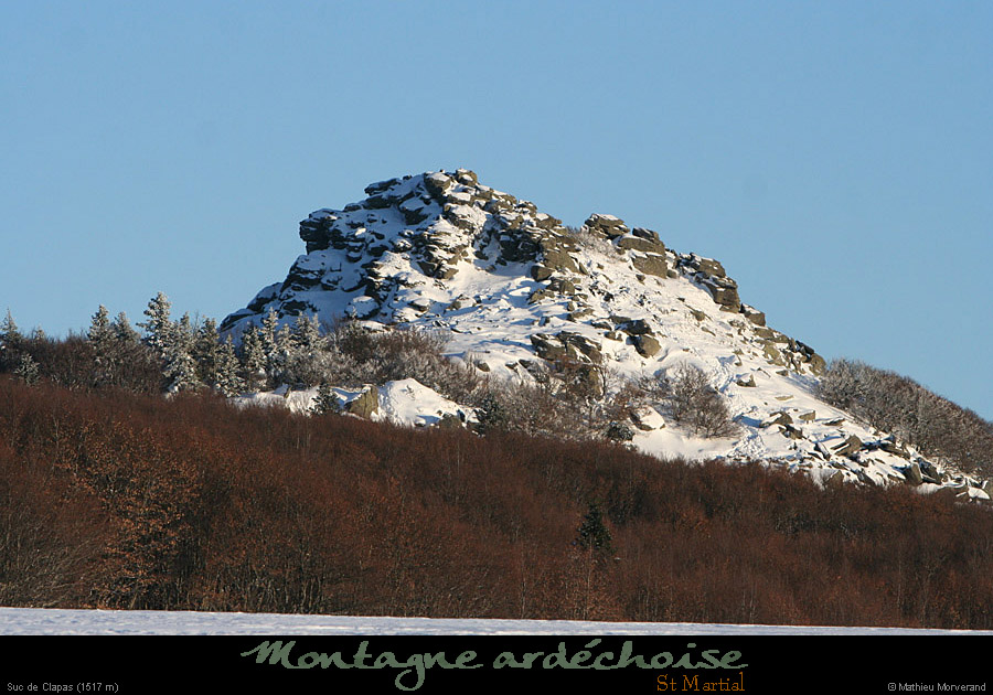 20100131_succlapasparlesw1