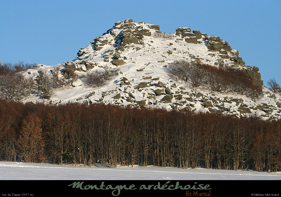 20100131_succlapasparlesw2