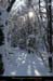 20100131_boisdesallieres12