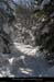 20100131_boisdesallieres13