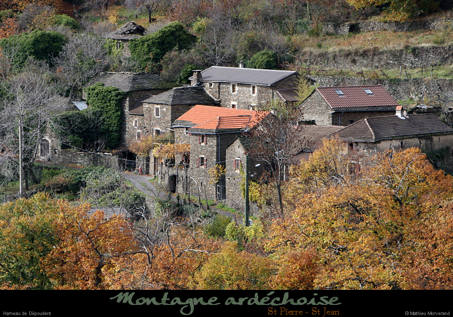 20101110_depoudent4