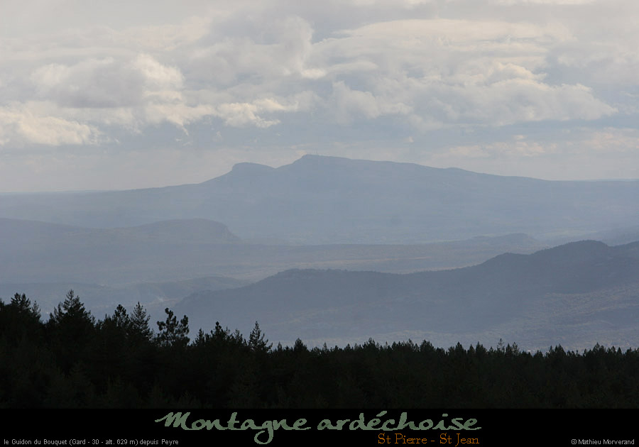 20101110_guidonbouquetdepeyre
