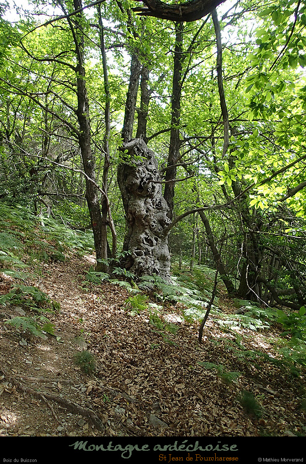 20140606_140