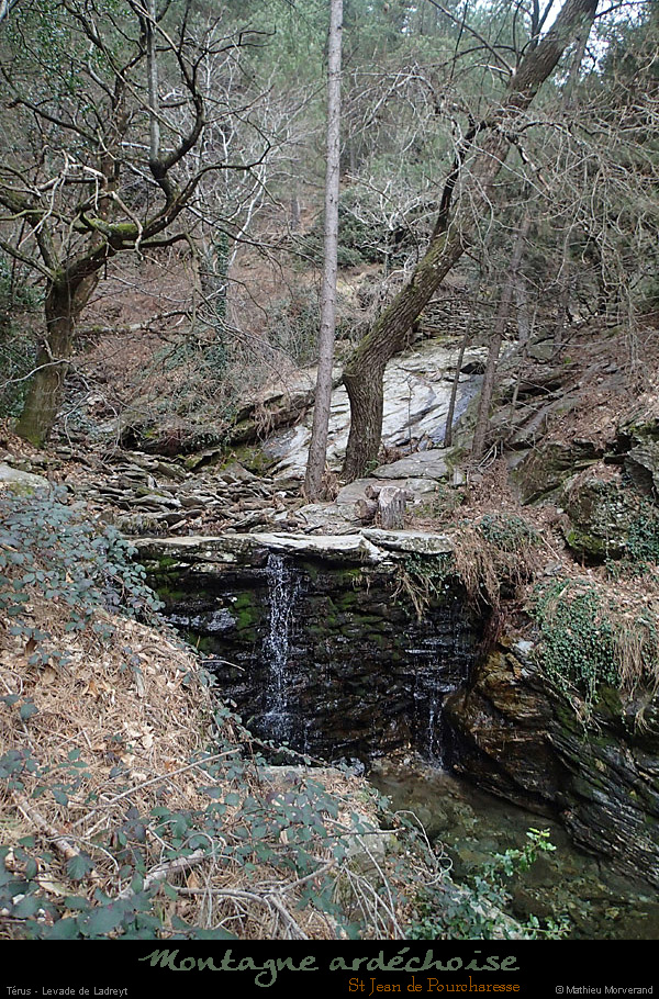 20150226_075