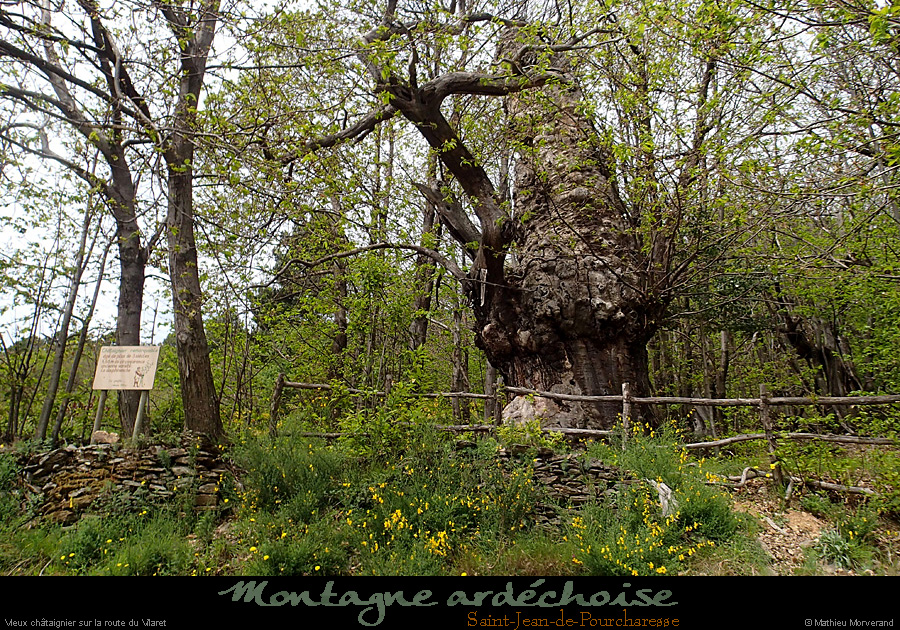 20150503_310