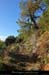 20170910_depoudent_caladesure3
