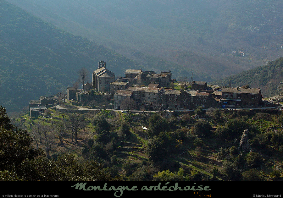 20030316_thinesparlene
