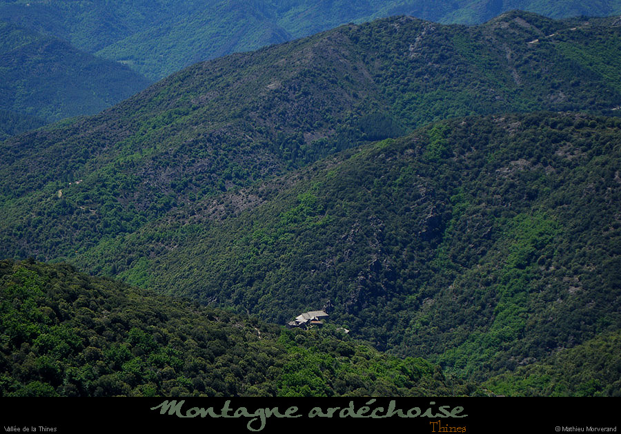 20090529_thinesdepuislechelette