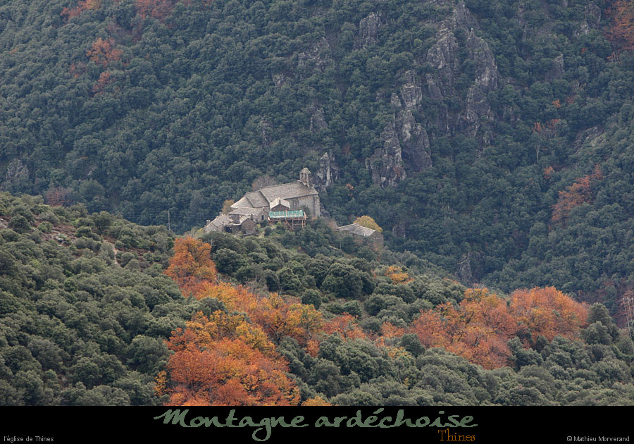 20101110_thinesdepuislechelette2