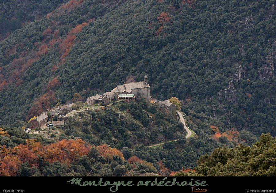 20101110_thinesdepuislechelette4