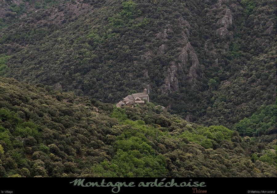 20150520_thinesdepuislechelette1