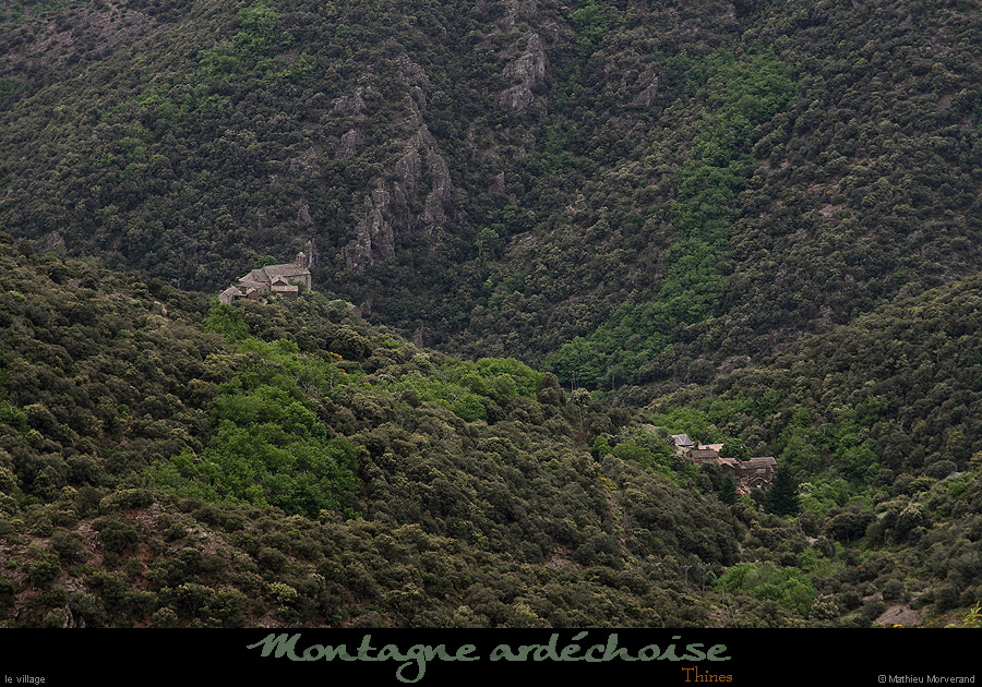 20150520_thinesdepuislechelette2
