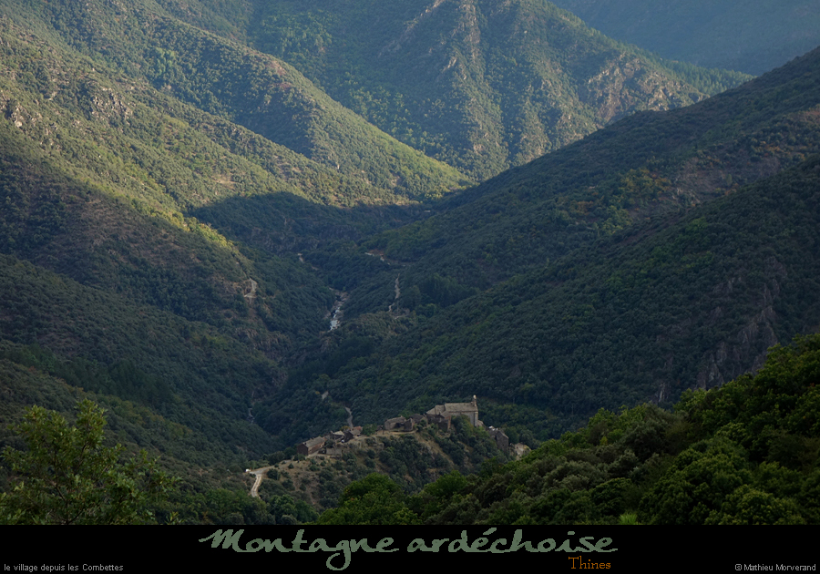 20210904_thines1