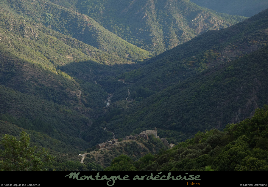 20210904_thines2
