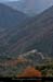 20101110_thinesdepuislechelette7