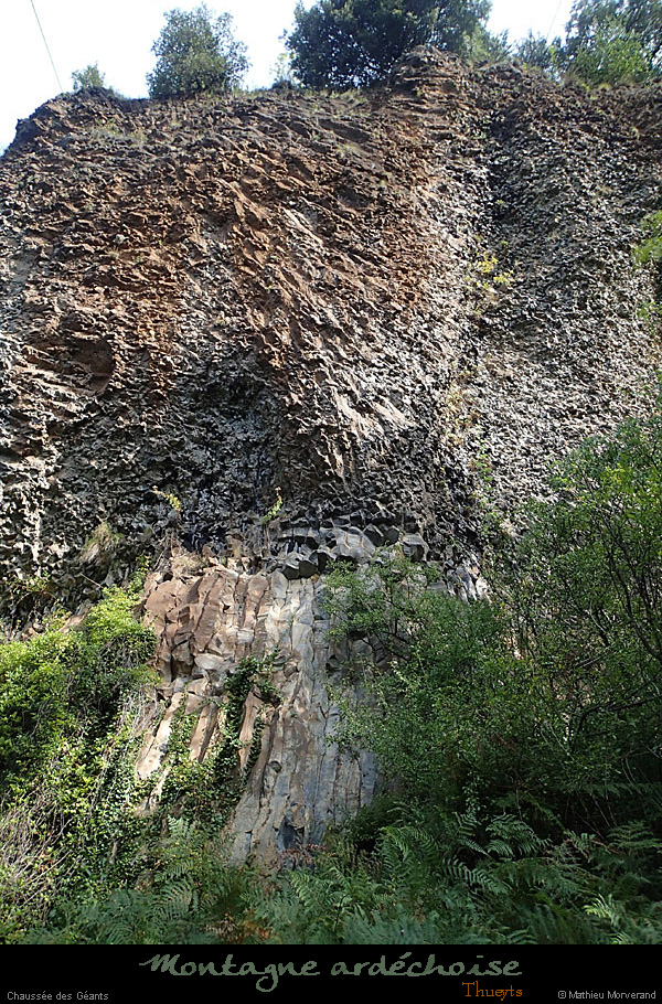 20140923vf017
