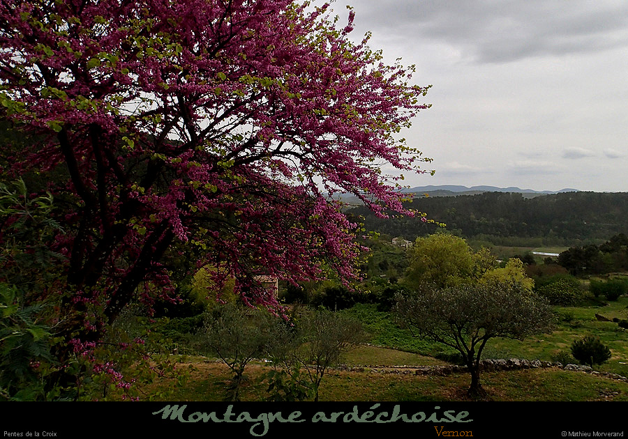 20150418_029