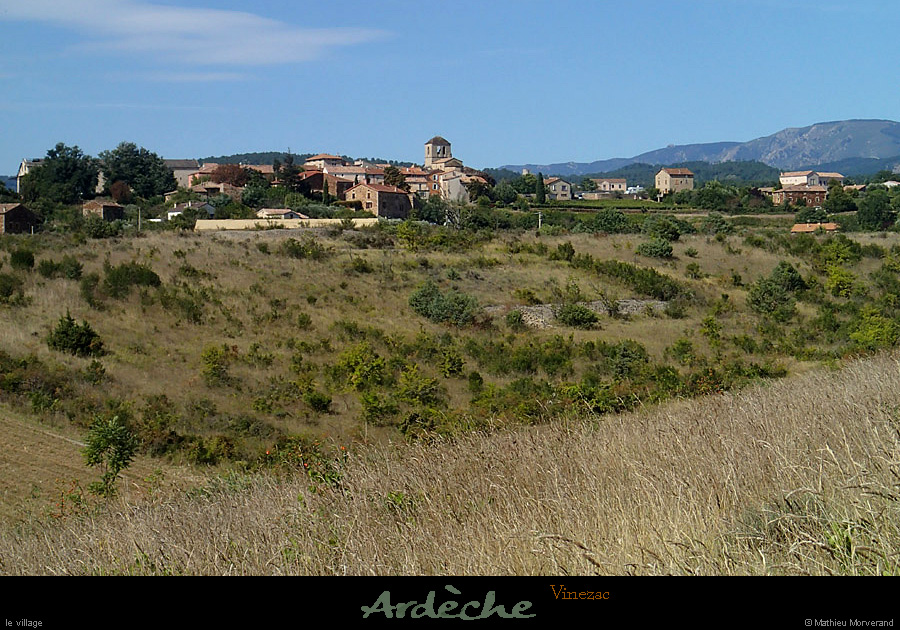 20130922_vinezacparse