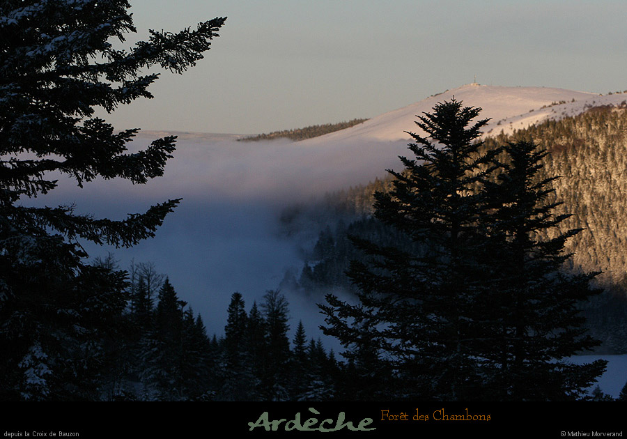 20090125_foretchambondepuisbauzon