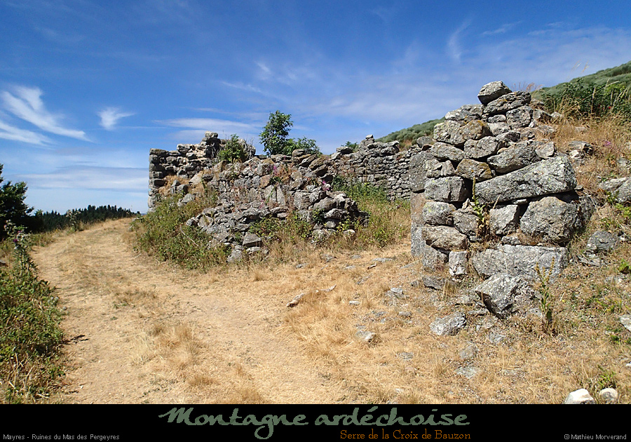 20150726_368