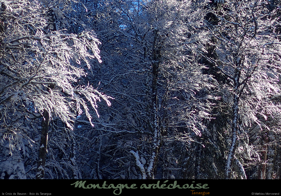 20180128_056