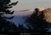 20090125_foretchambondepuisbauzon