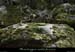 20140512_boixcrxdebauzon