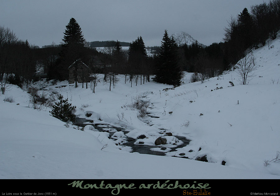 20100129_steulalie_loiresouslegerbier2