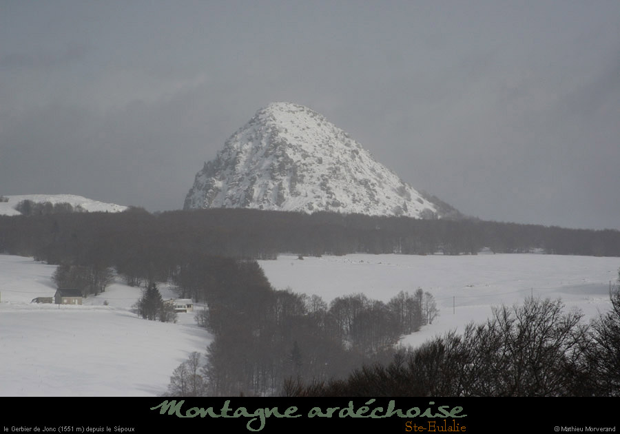 20100130_gerbierdejoncdepentessepoux1