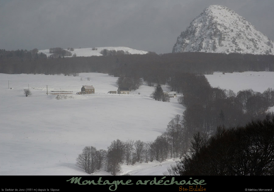 20100130_gerbierdejoncdepentessepoux2