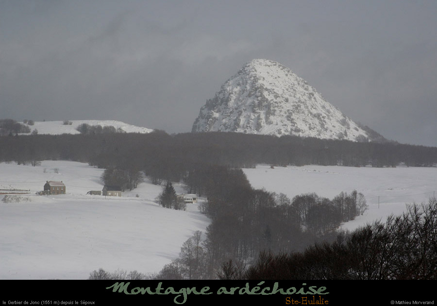 20100130_gerbierdejoncdepentessepoux3