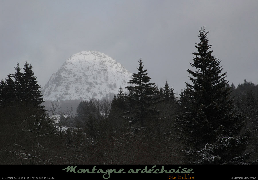 20100130_gerbierdejoncdepuislaceyte1