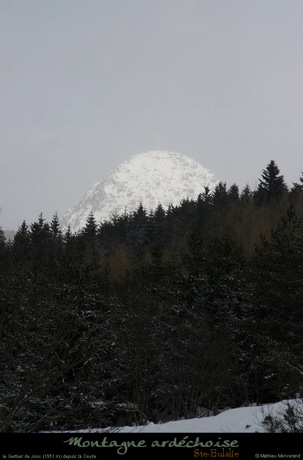 20100130_gerbierdejoncdepuislaceyte3