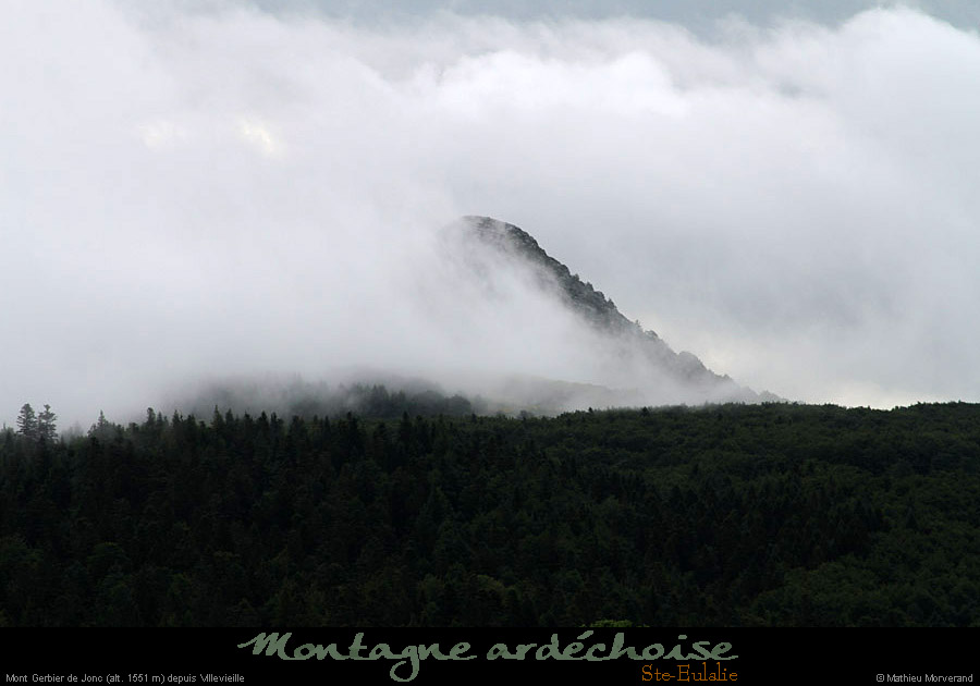 20120620_steulalie_gerbierdejoncdepuisvillevieille1
