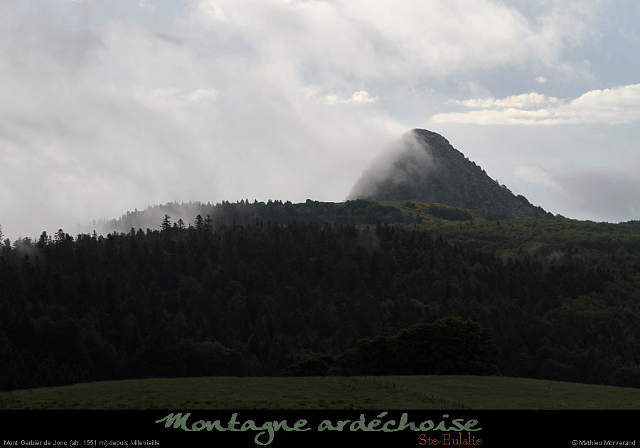 20120620_steulalie_gerbierdejoncdepuisvillevieille2