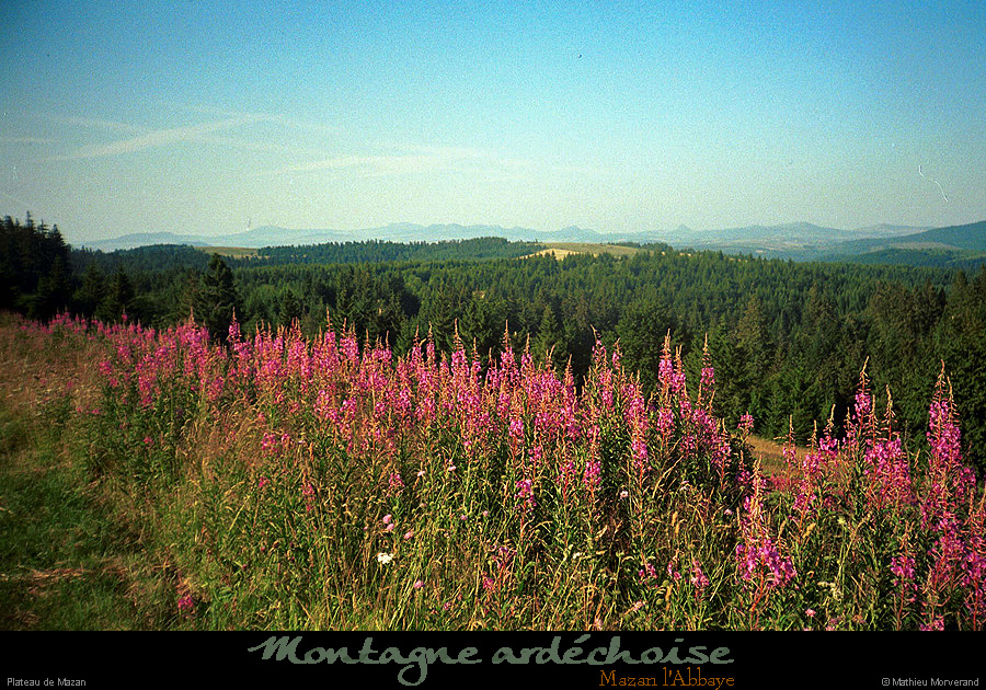 19990717_paysagepresmezenc