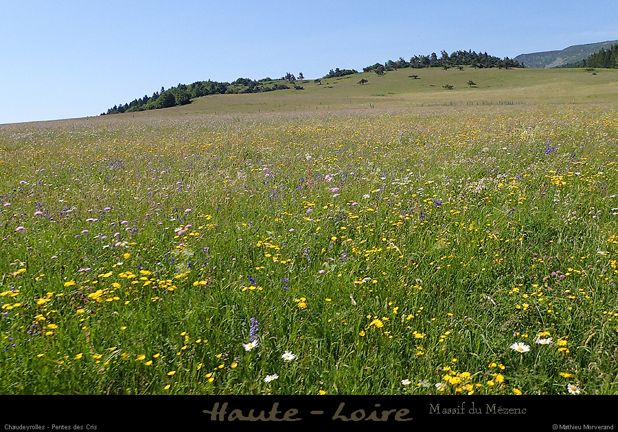 20170620_chaudeyrolles_pentesdescris